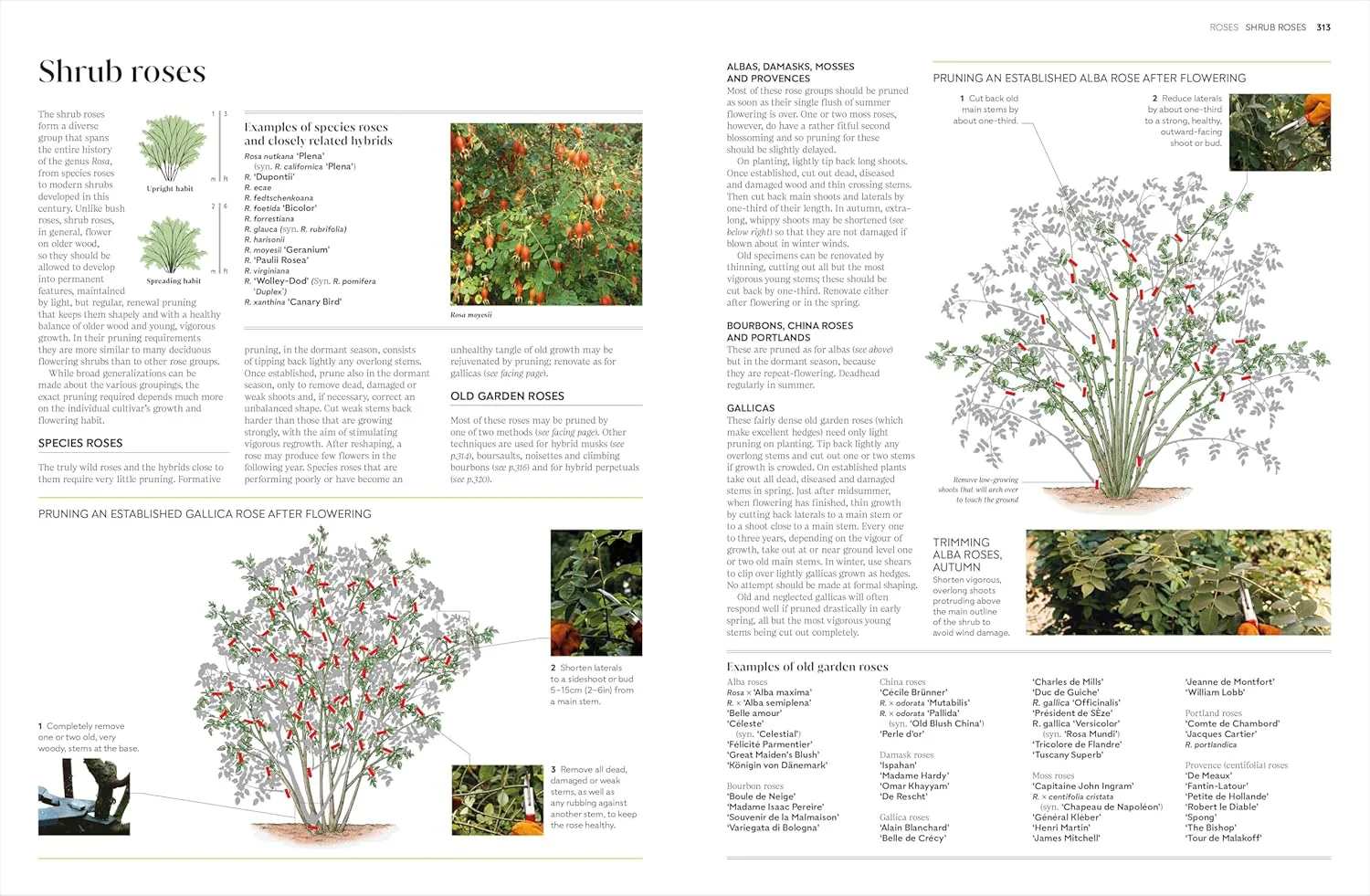 PRUNING AND TRAINING: WHAT, WHEN, AND HOW TO PRUNE - Image 6