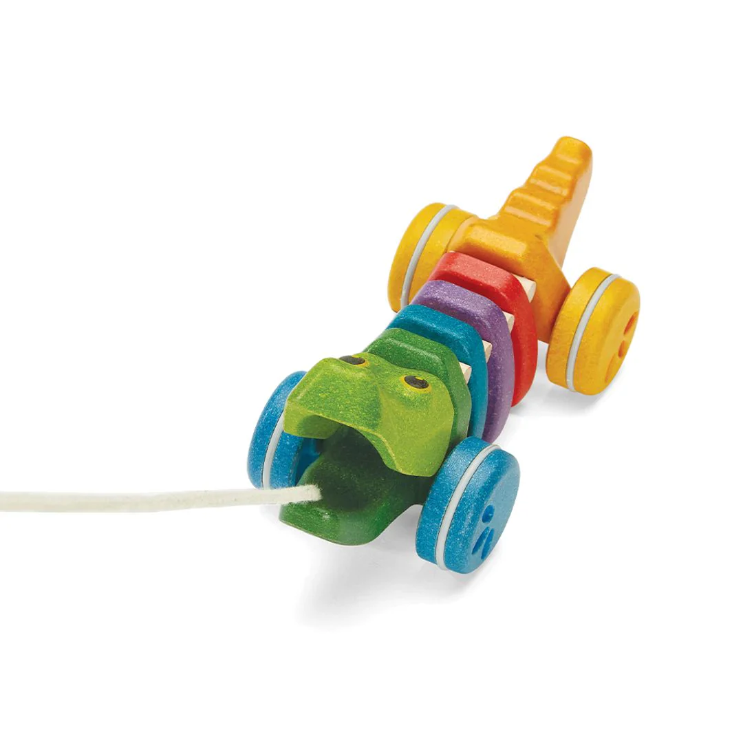 PULL ALONG RAINBOW ALLIGATOR - Image 2
