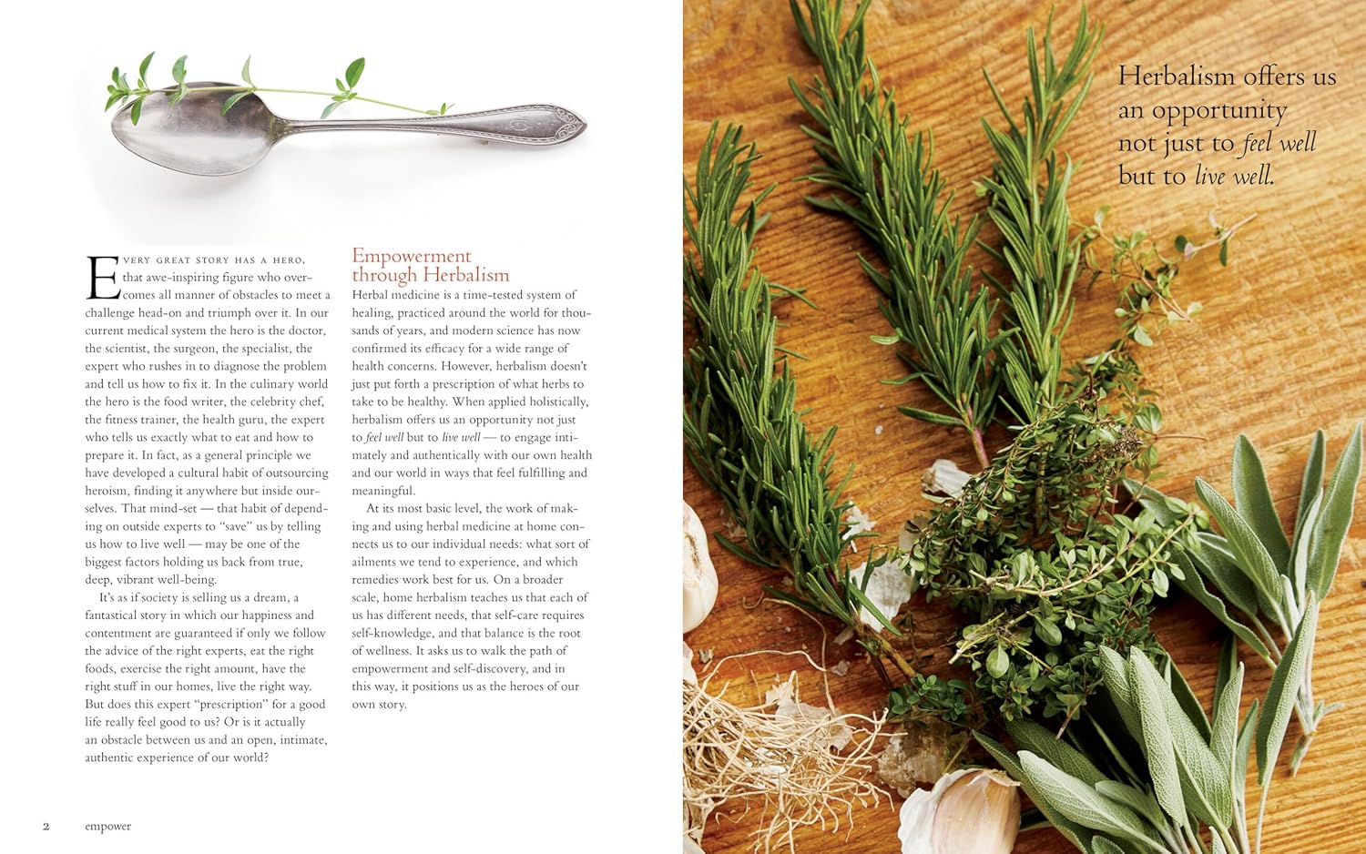 RECIPES FROM THE HERBALIST'S KITCHEN - Image 2
