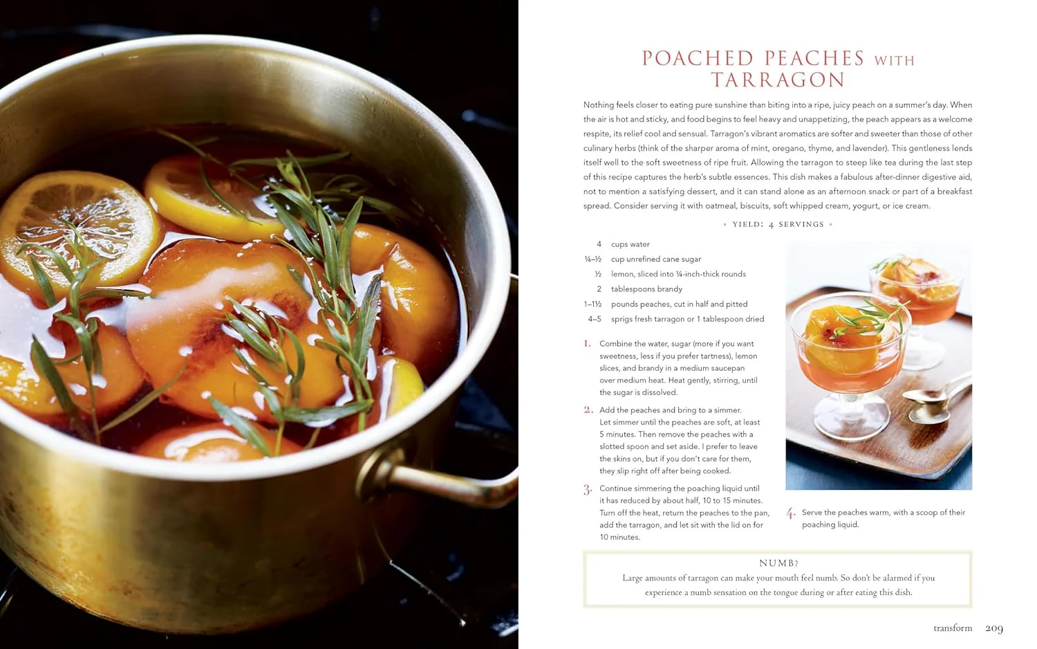 RECIPES FROM THE HERBALIST'S KITCHEN - Image 5