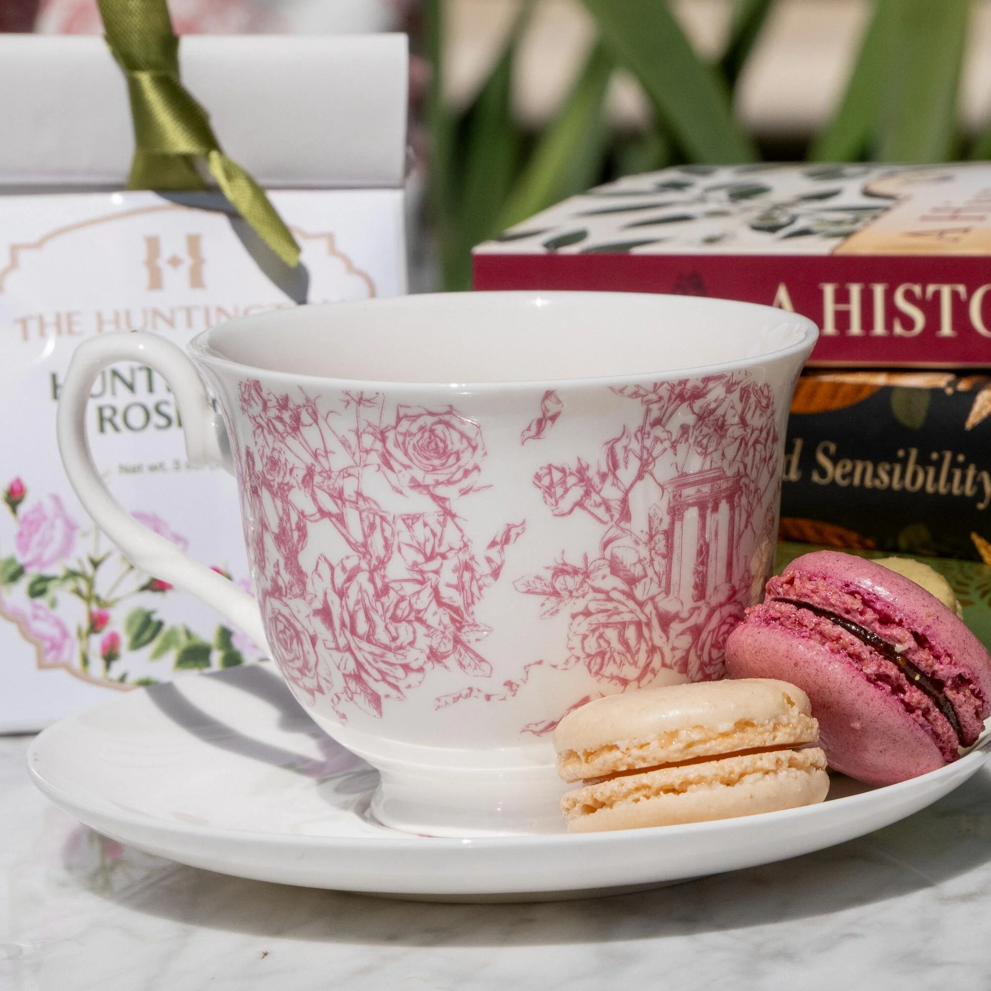 HUNTINGTON ROSE GARDEN TOILE TEACUP AND SAUCER - Image 2