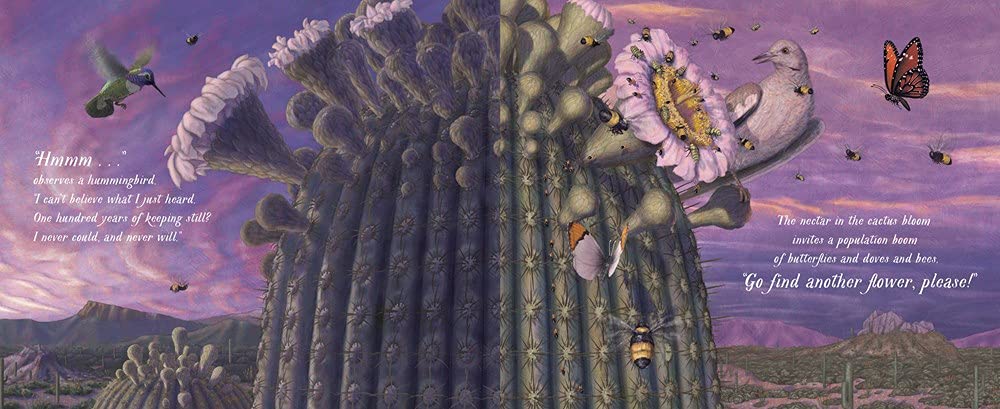 SAGUARO`S GIFTS - Image 3