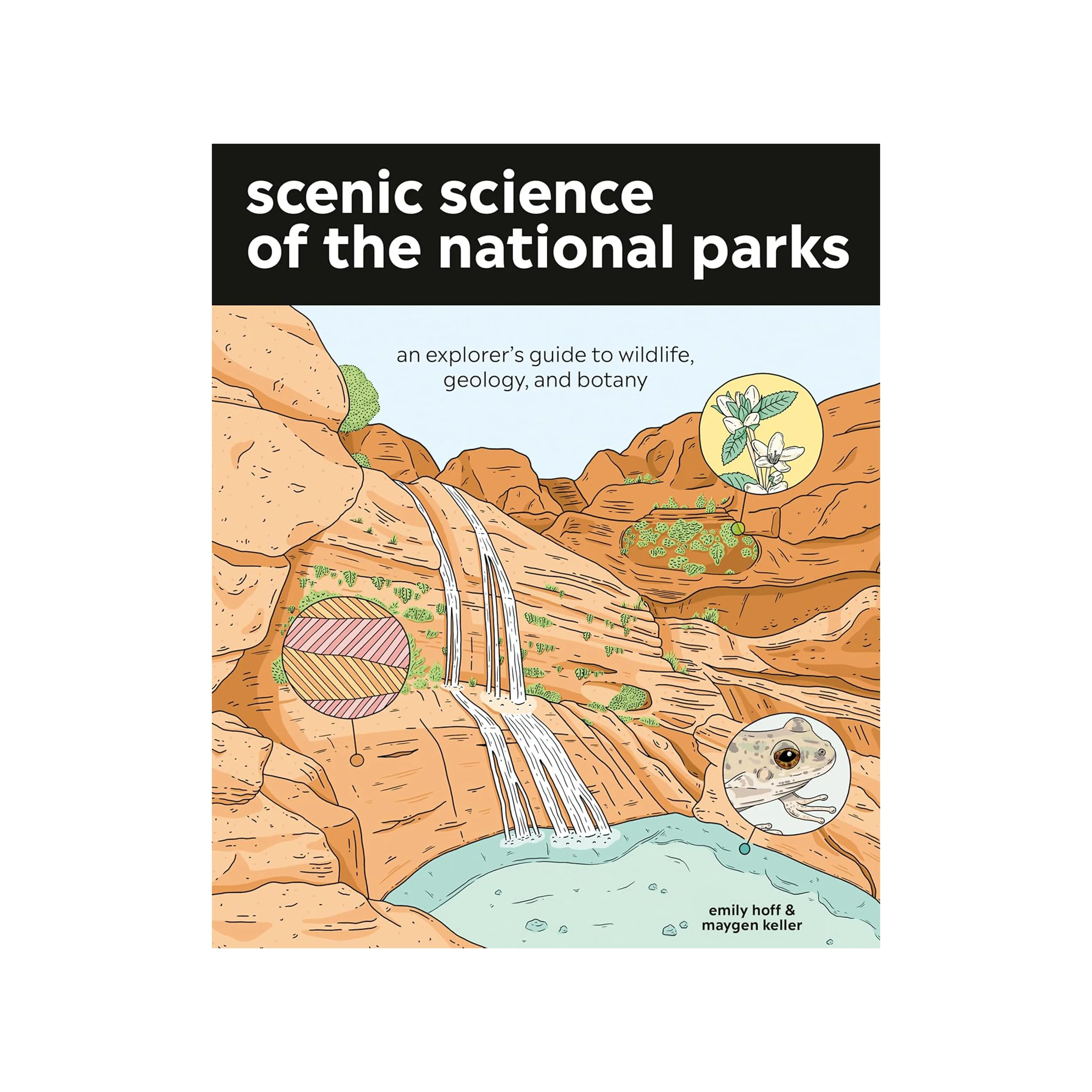 SCENIC SCIENCE OF THE NATIONAL PARKS
