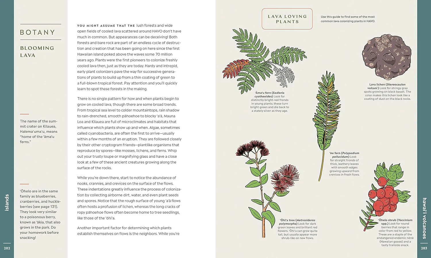 SCENIC SCIENCE OF THE NATIONAL PARKS - Image 4