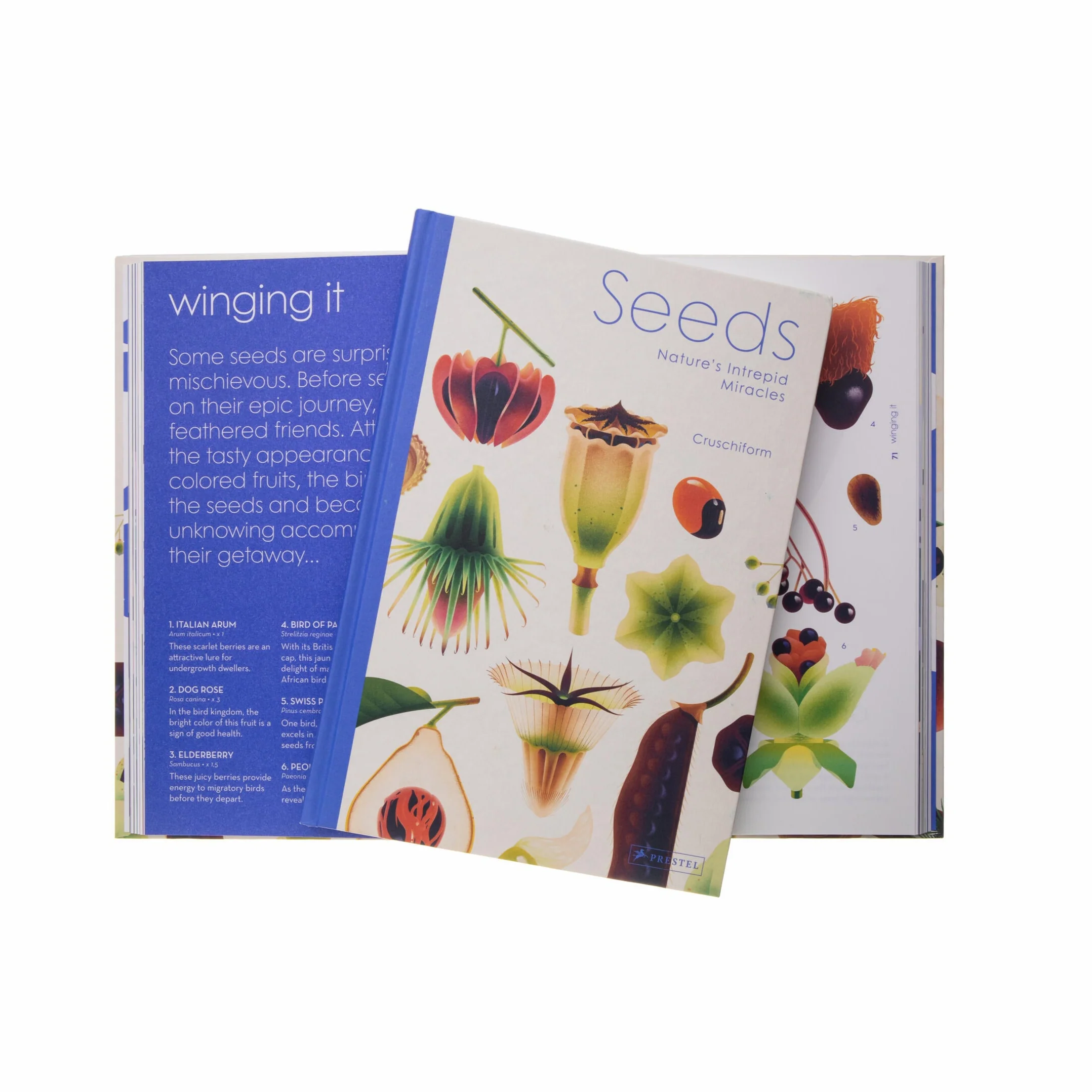 SEEDS: NATURE'S INTREPID MIRACLES