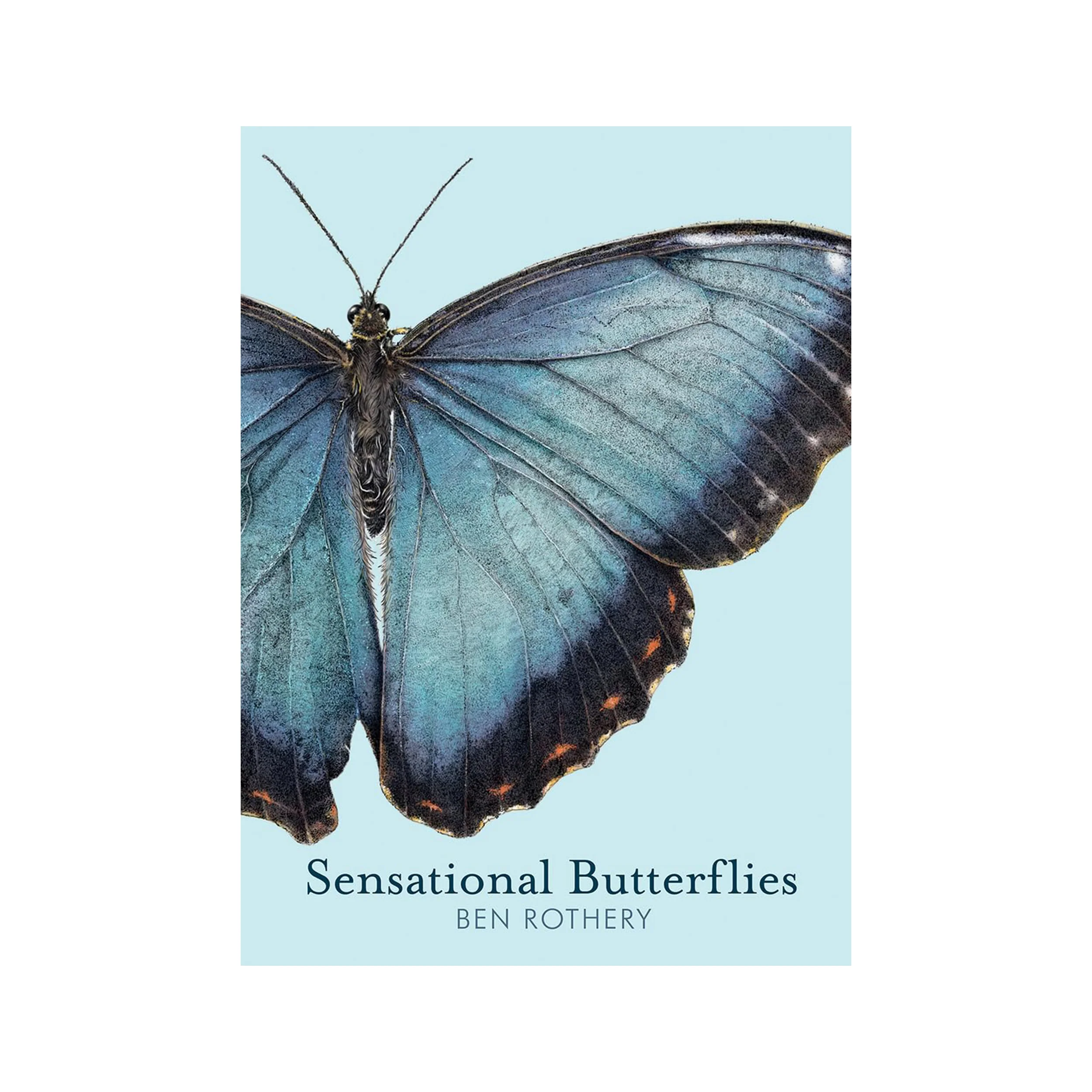 SENSATIONAL BUTTERFLIES