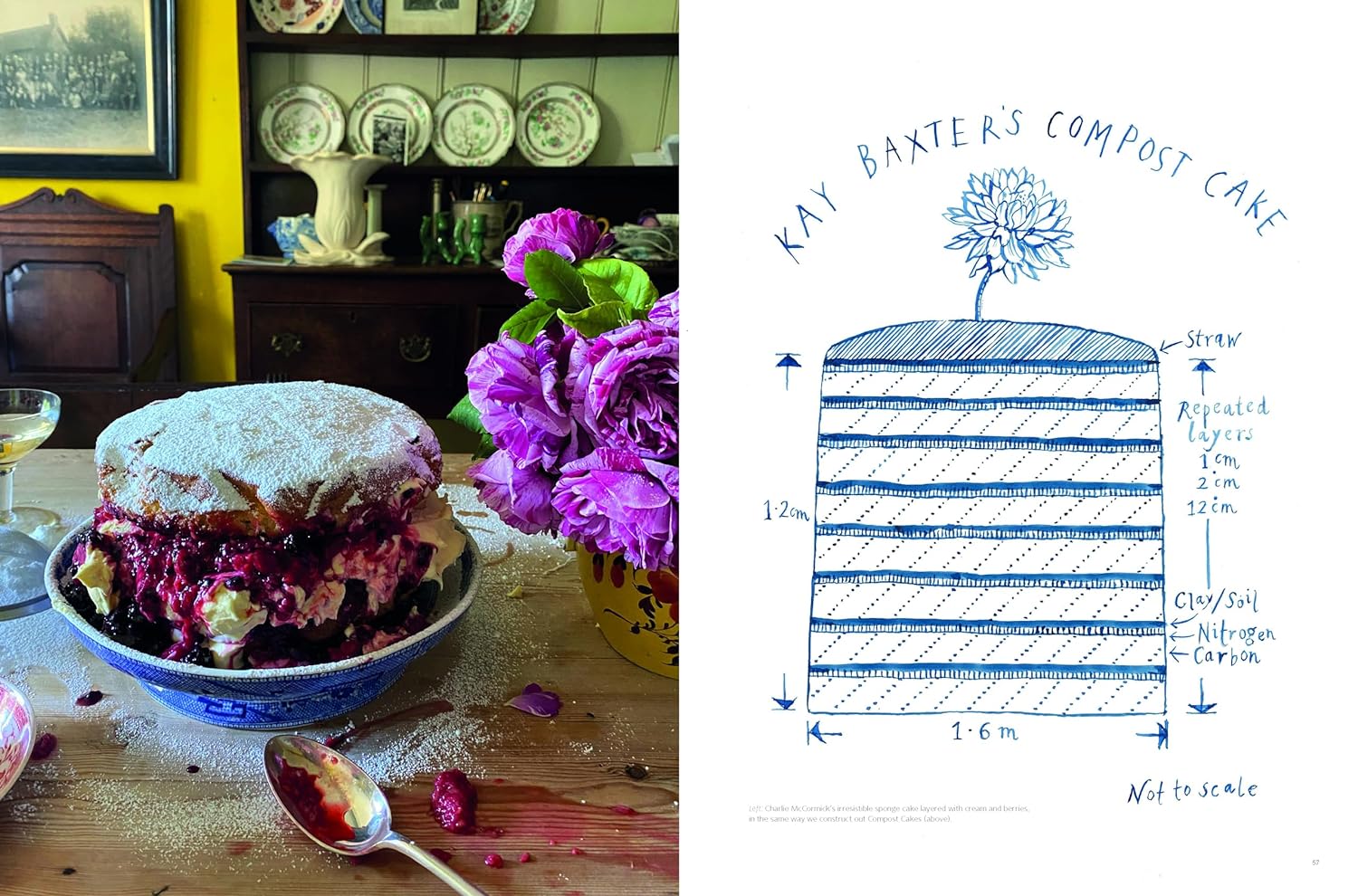 SOIL TO TABLE - Image 4