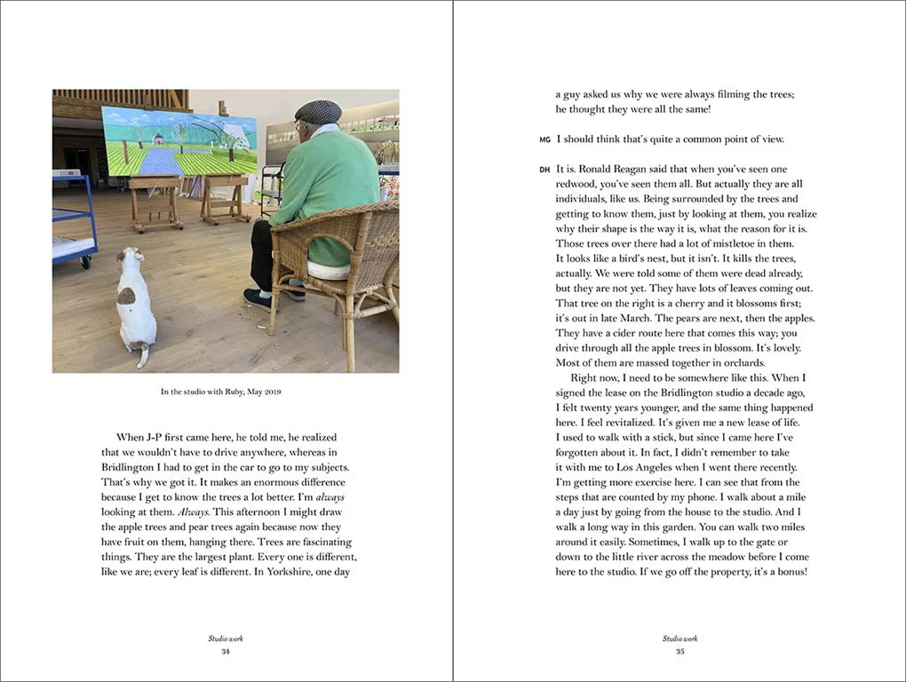 SPRING CANNOT BE CANCELLED: DAVID HOCKNEY IN NORMANDY - Image 3