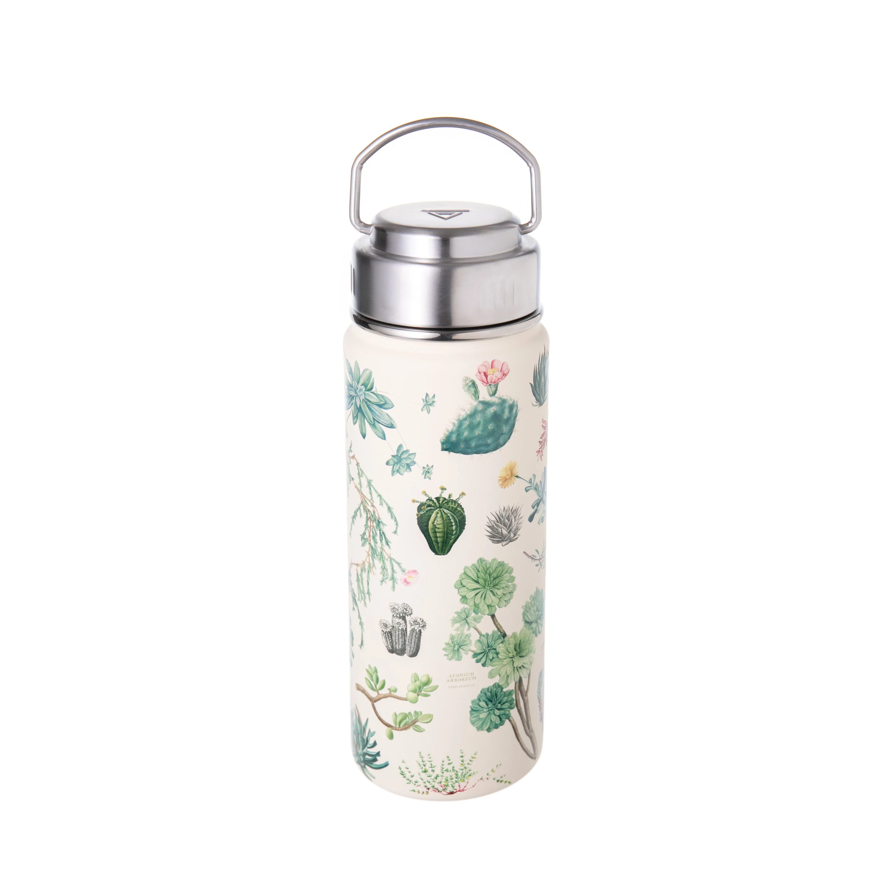 SUCCULENTS HYDRATION BOTTLE