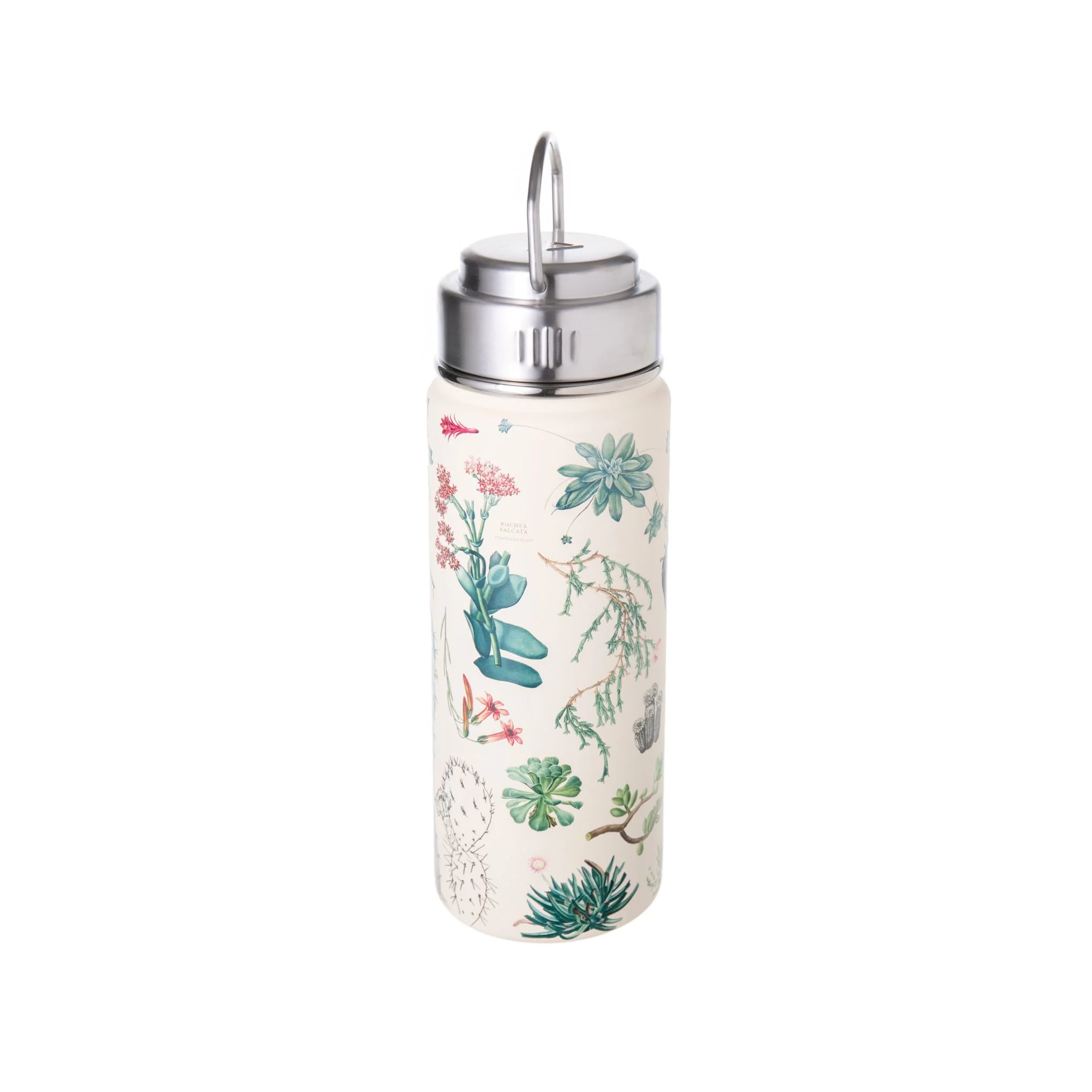SUCCULENTS HYDRATION BOTTLE - Image 2