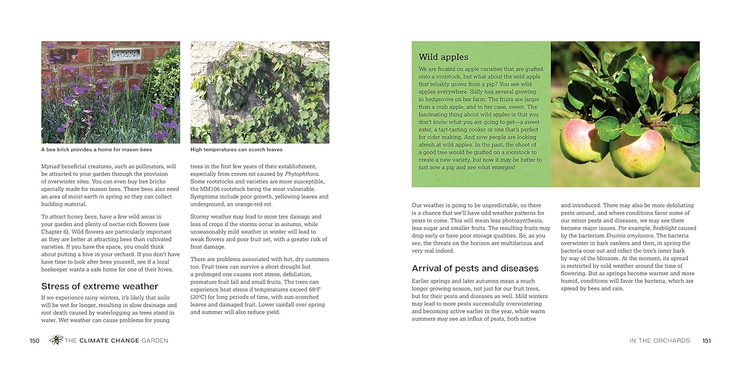 THE CLIMATE CHANGE GARDEN - Image 4