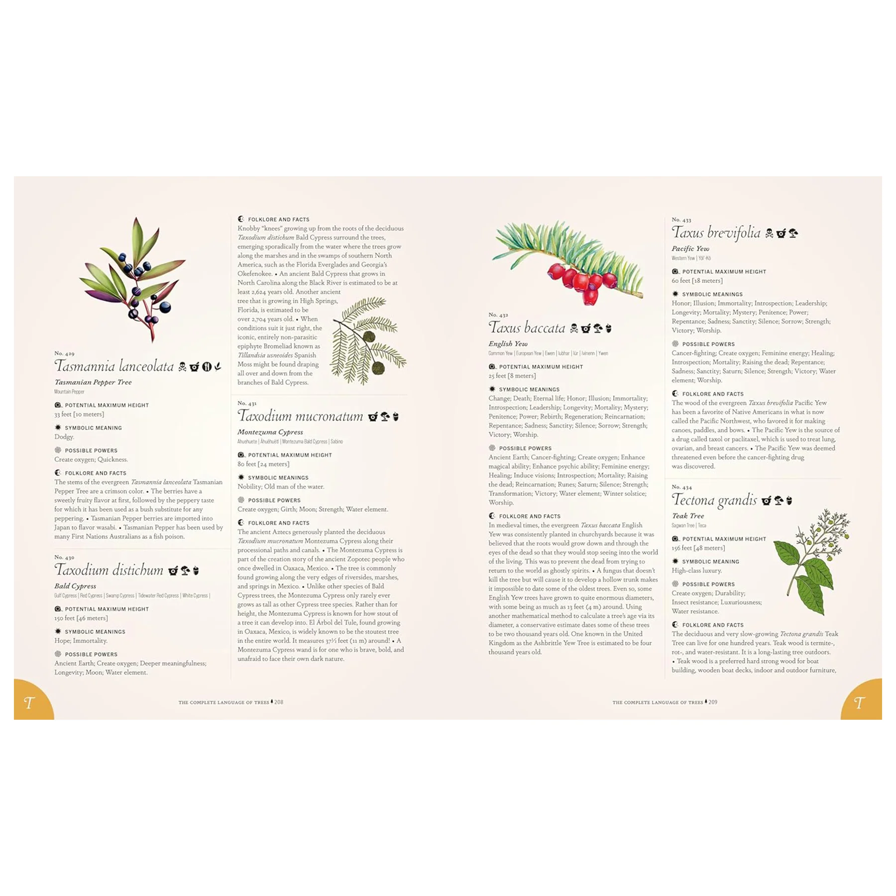 THE COMPLETE LANGUAGE OF TREES - Image 3