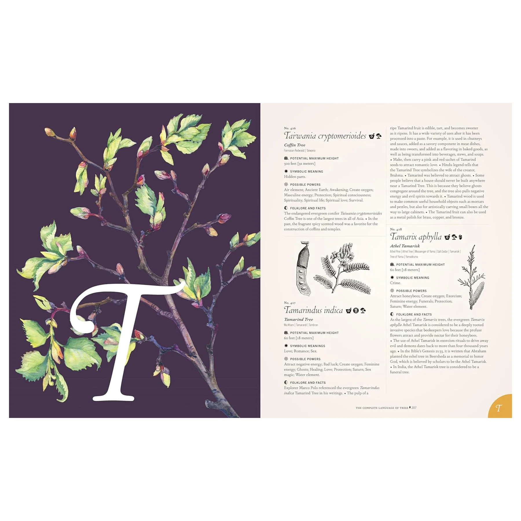 THE COMPLETE LANGUAGE OF TREES - Image 4