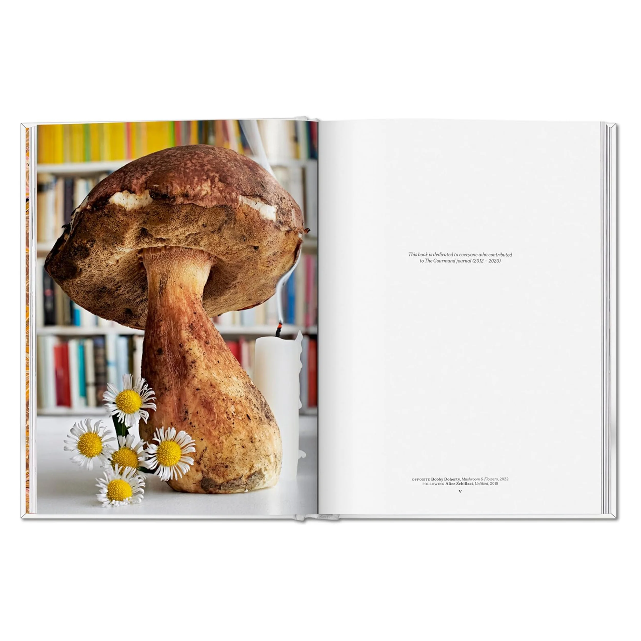 THE GOURMAND'S MUSHROOM. A COLLECTION OF STORIES & RECIPES - Image 3