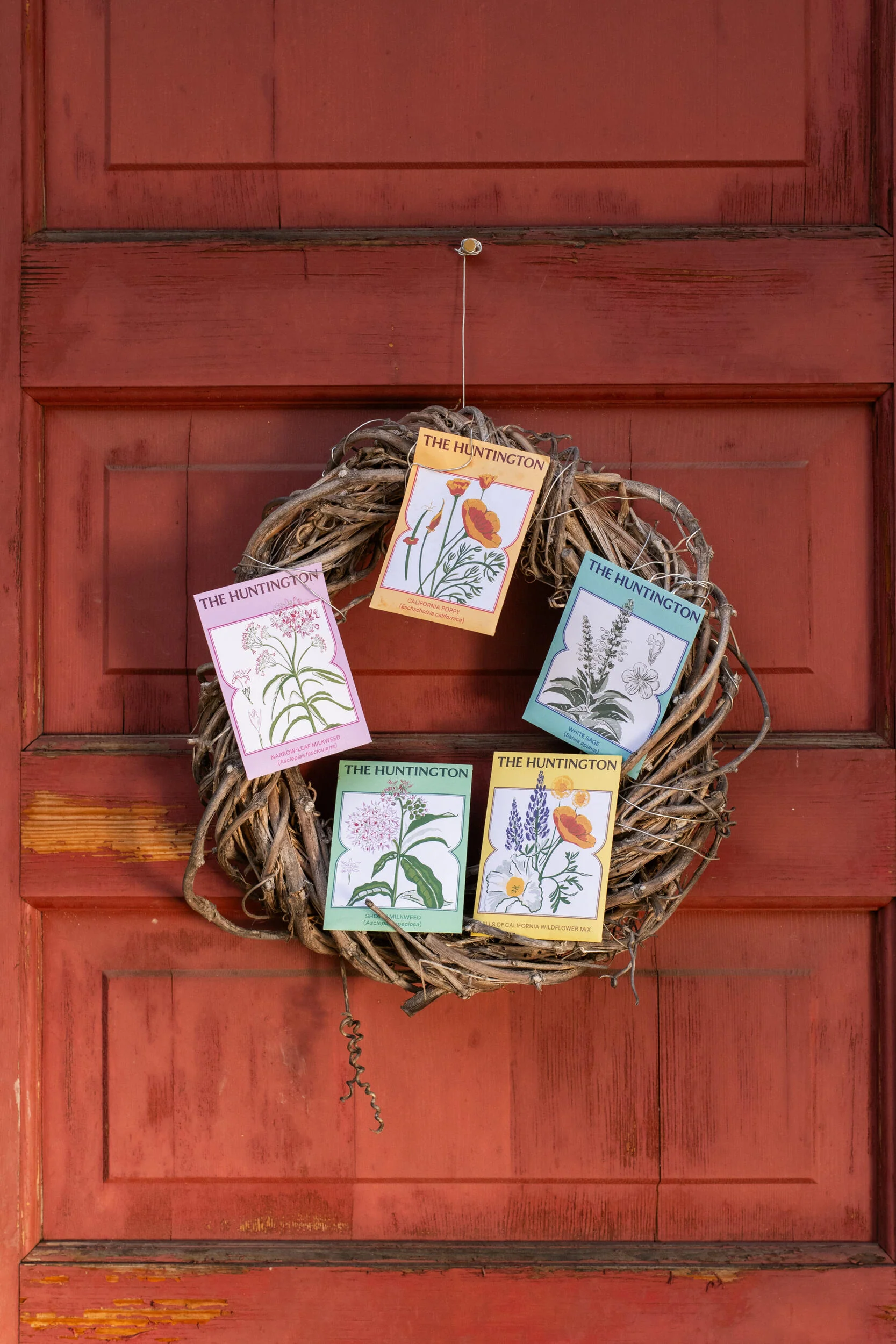 THE HUNTINGTON CALIFORNIA POPPY SEED PACKET - Image 5