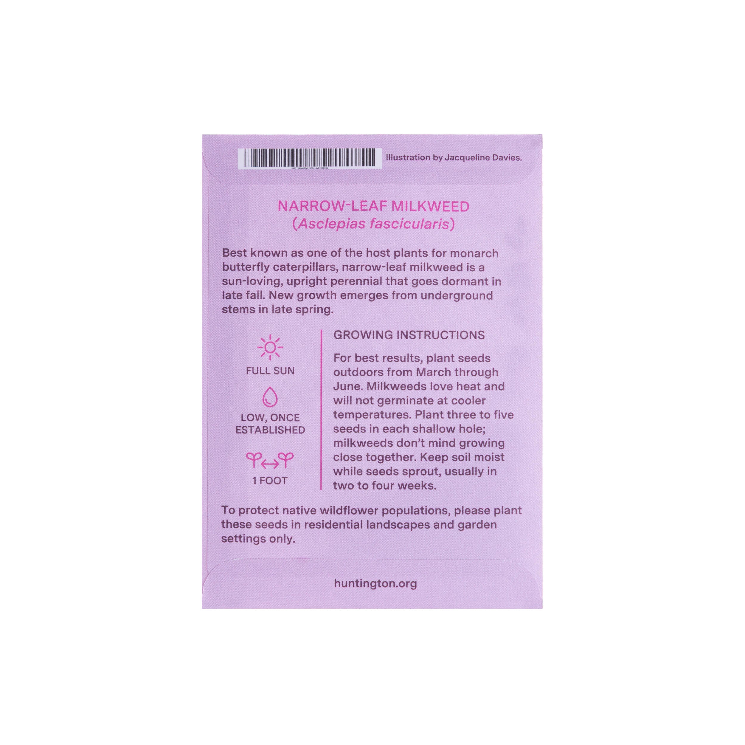 THE HUNTINGTON NARROW LEAF MILKWEED SEED PACKET - Image 2