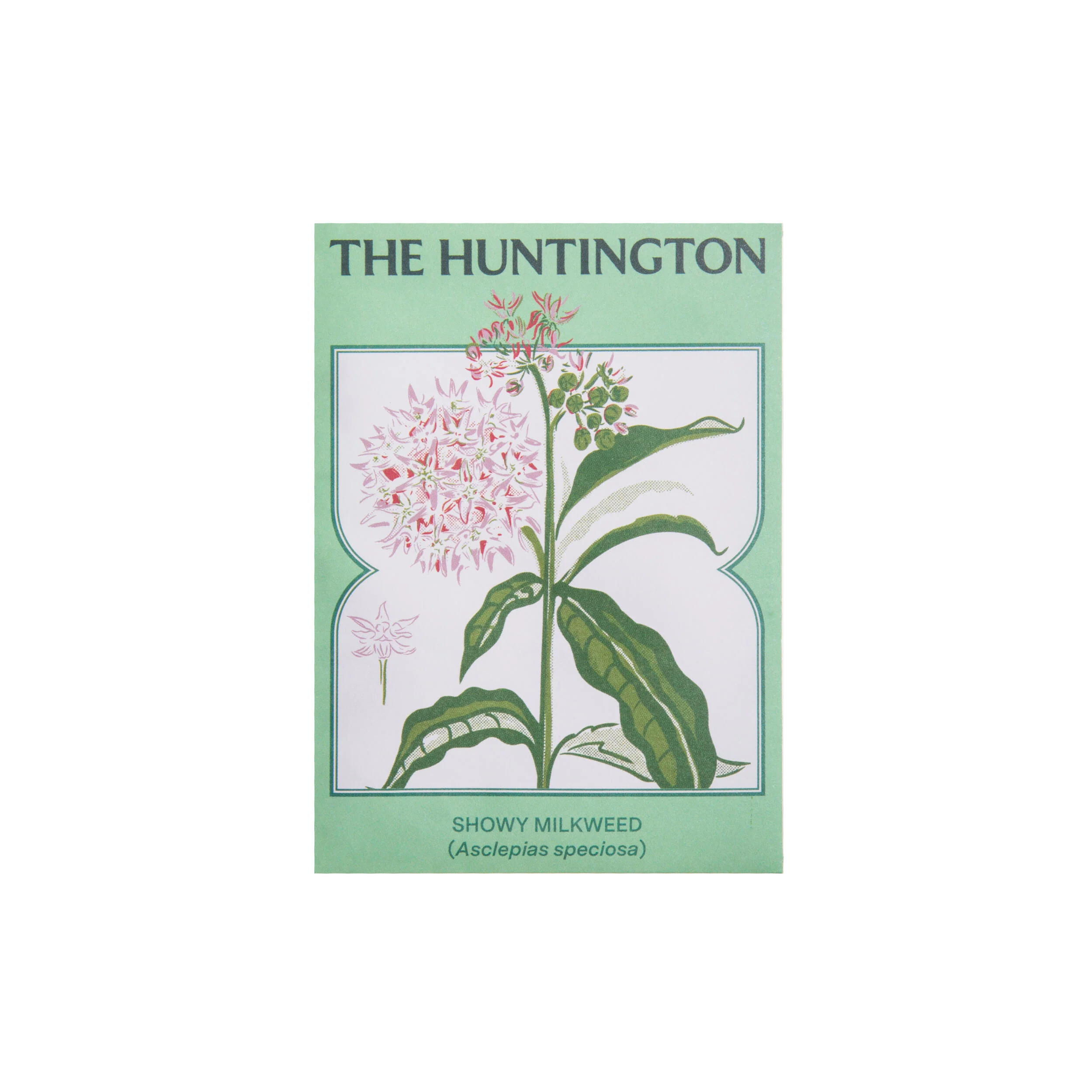 THE HUNTINGTON SHOWY MILKWEED SEED PACKET