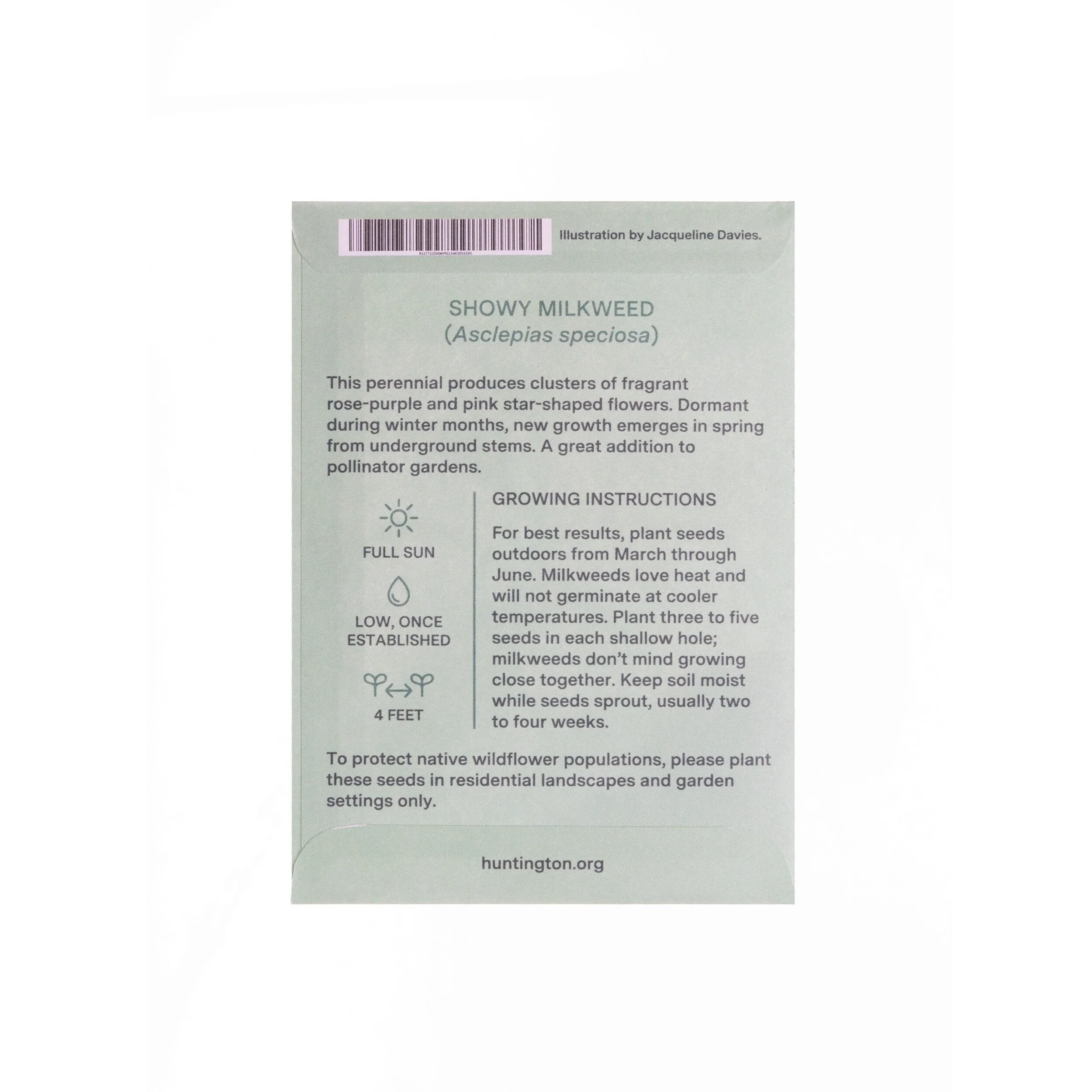 THE HUNTINGTON SHOWY MILKWEED SEED PACKET - Image 2
