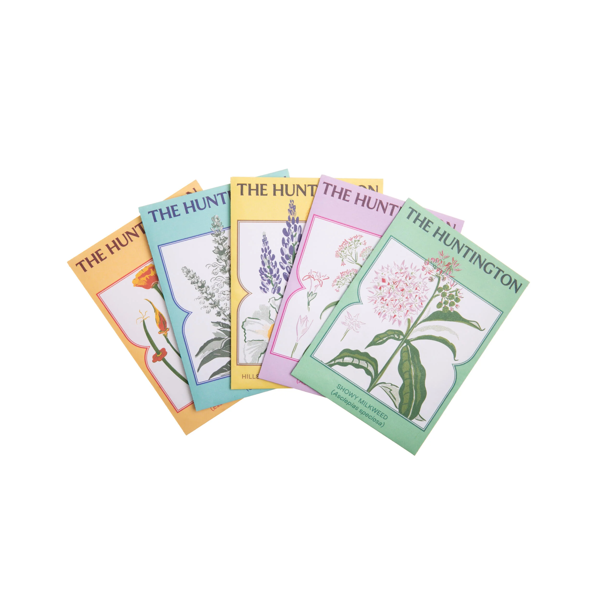 THE HUNTINGTON SHOWY MILKWEED SEED PACKET - Image 3