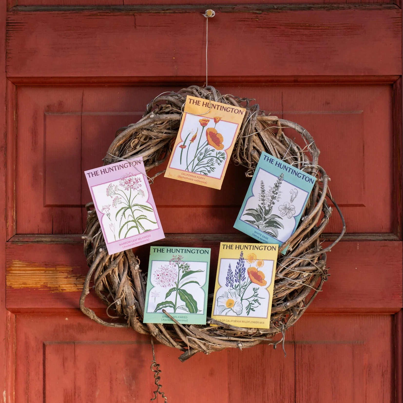 THE HUNTINGTON SHOWY MILKWEED SEED PACKET - Image 4