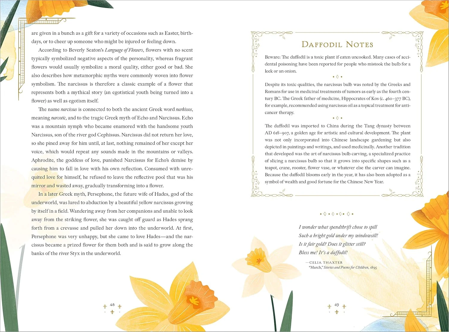 THE LANGUAGE OF FLOWERS - Image 3