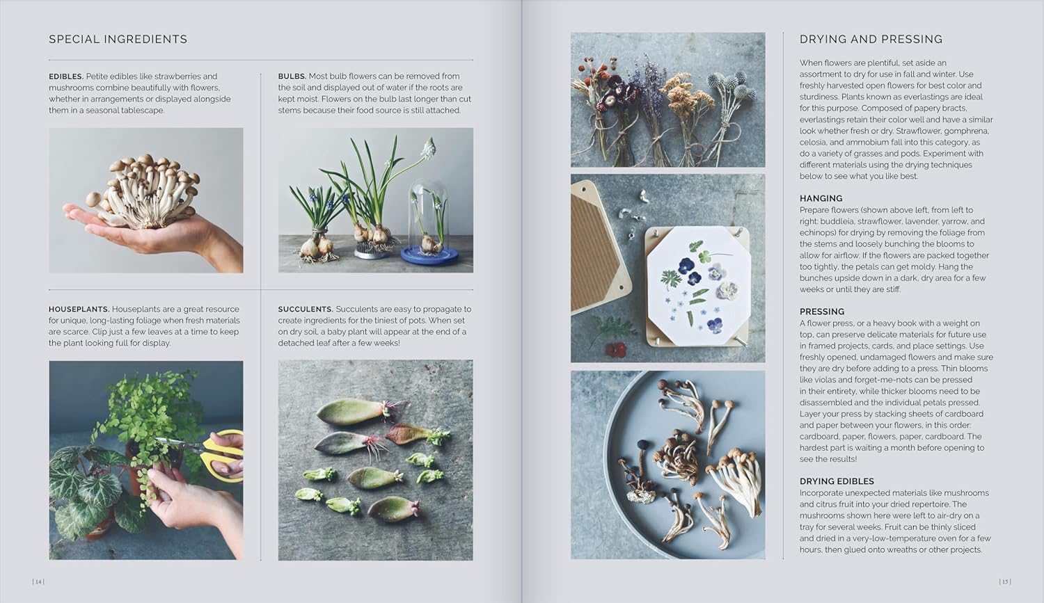 THE LITTLE FLOWER RECIPE BOOK - Image 3