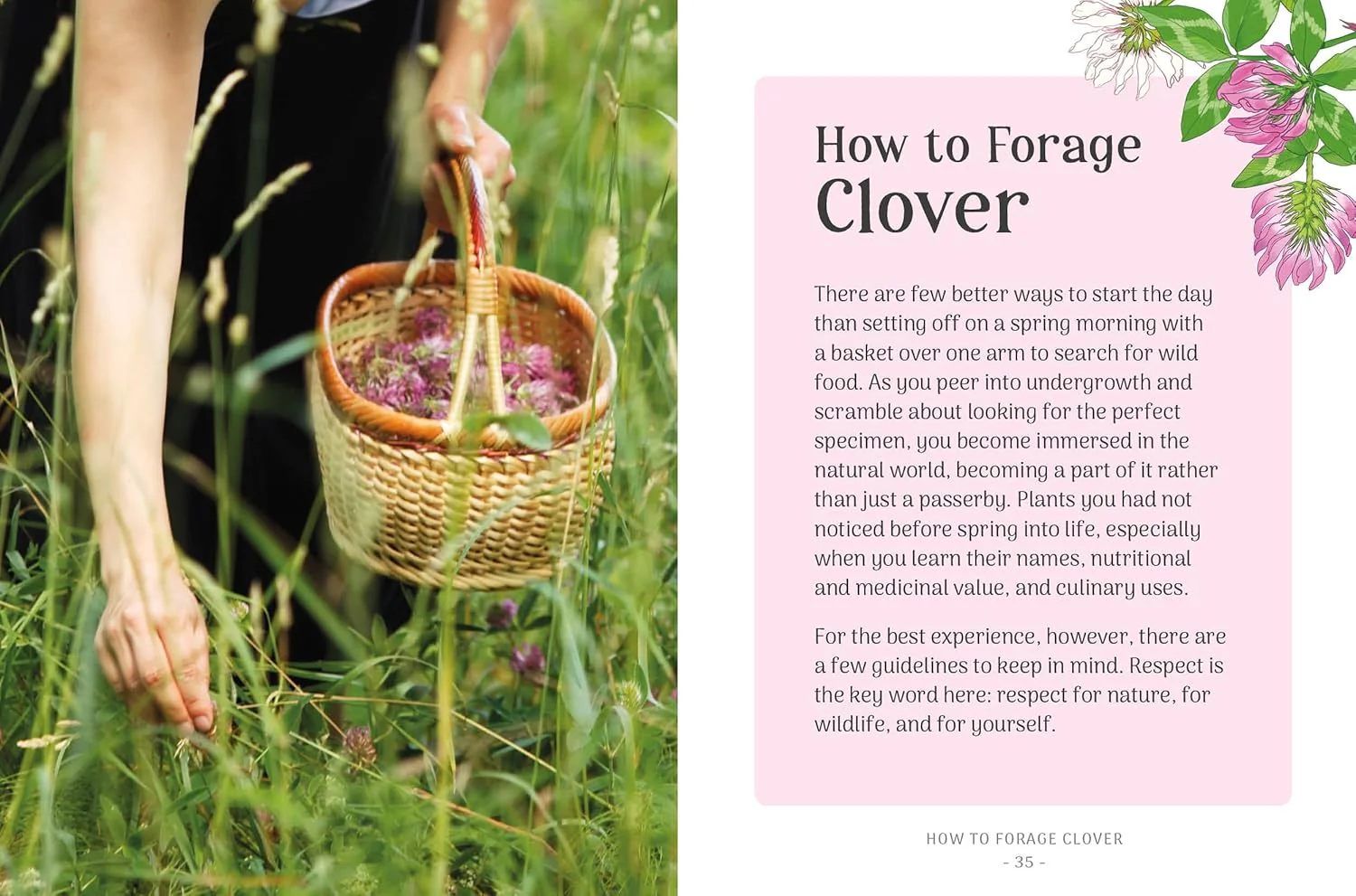 THE LITTLE WILD LIBRARY: CLOVER - Image 3