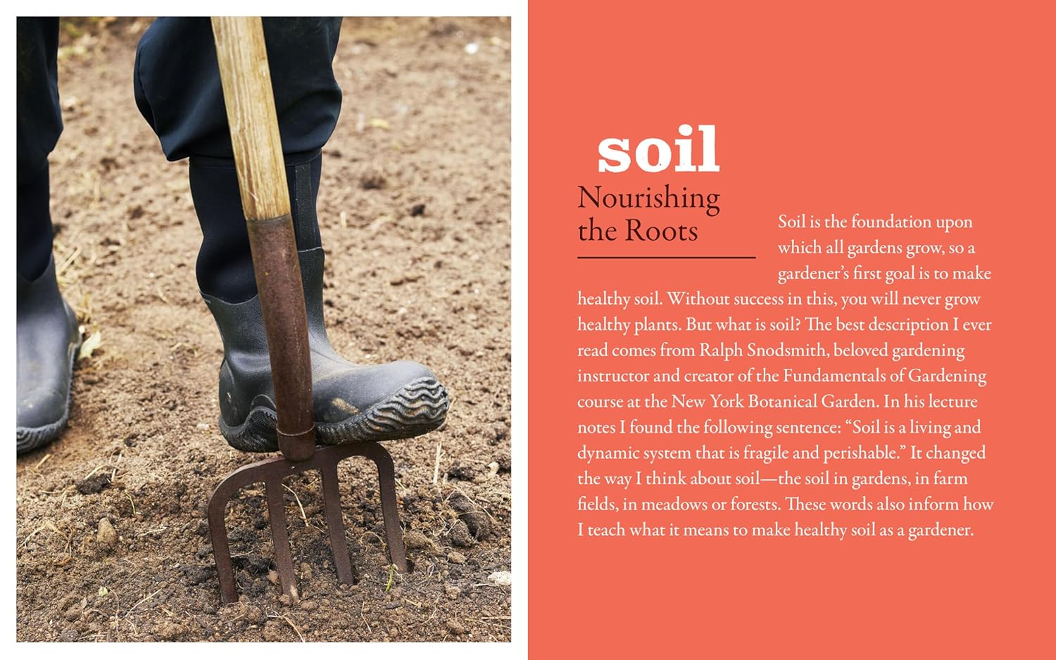 THE NEW GARDENER'S HANDBOOK - Image 3