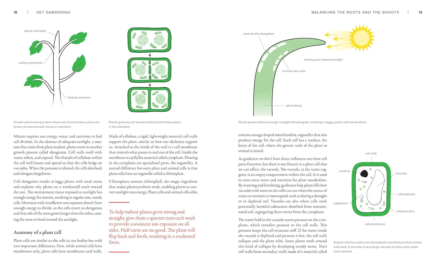 THE NEW GARDENER'S HANDBOOK - Image 4