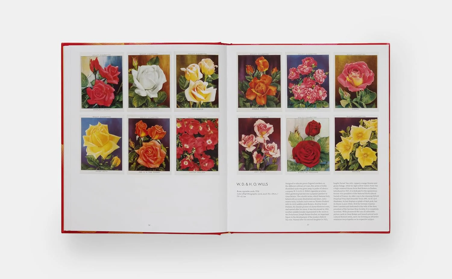 THE ROSE BOOK - Image 4