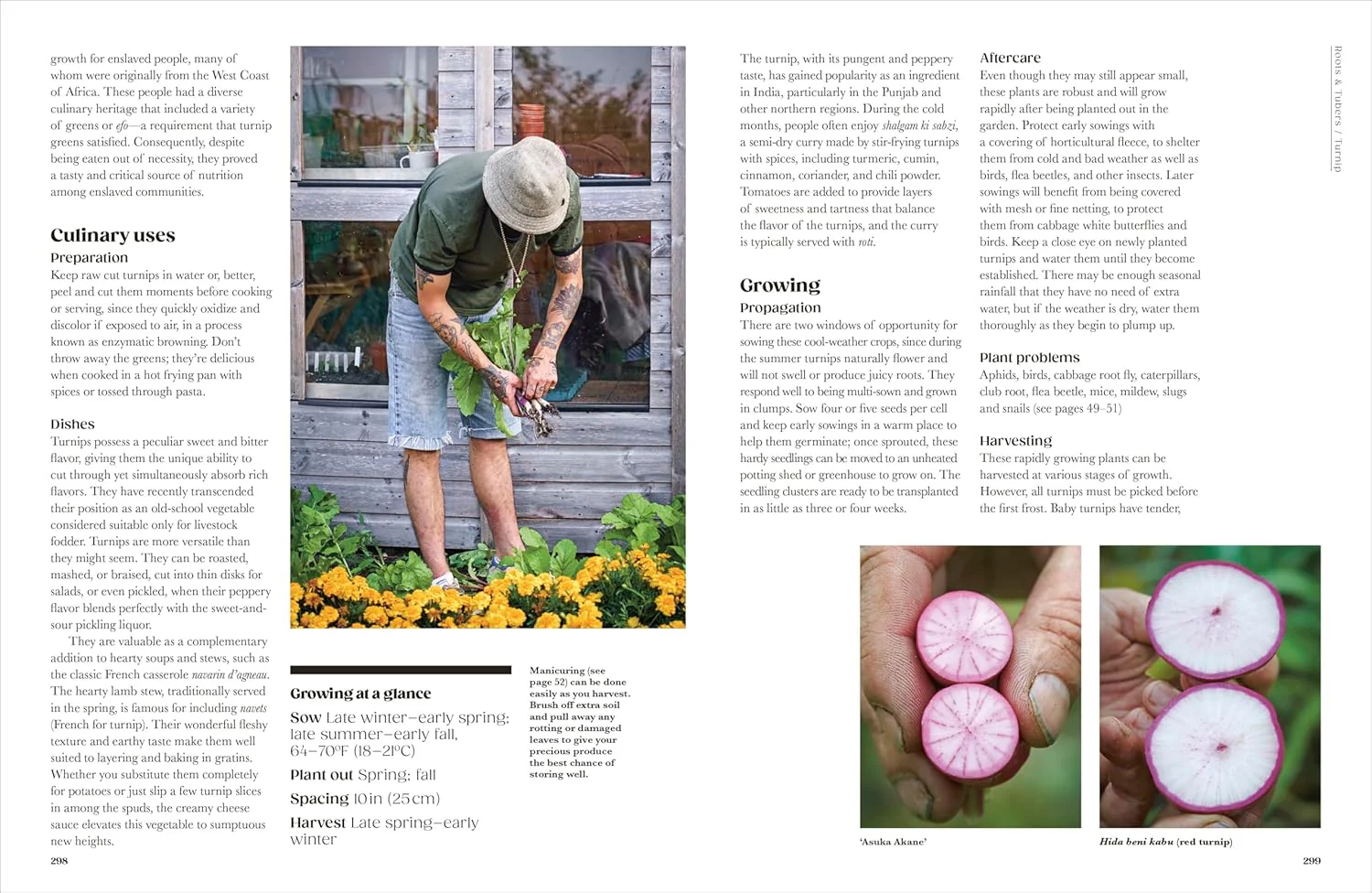 THE SEED HUNTER - Image 4