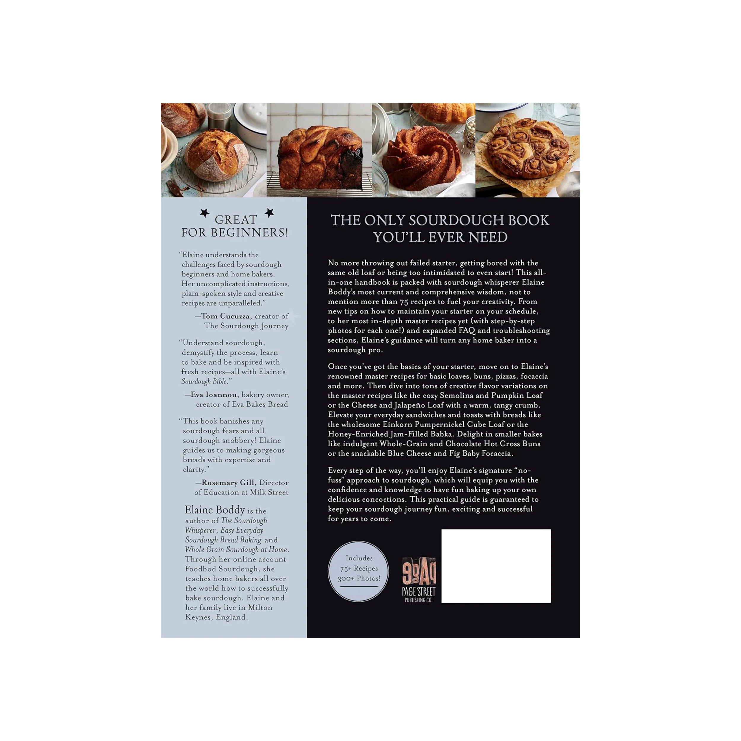 THE SOURDOUGH BIBLE - Image 2