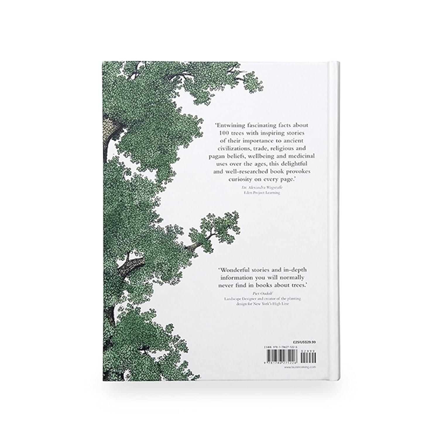 THE STORY OF TREES & HOW THEY CHANGED THE WAY WE LIVE - Image 2
