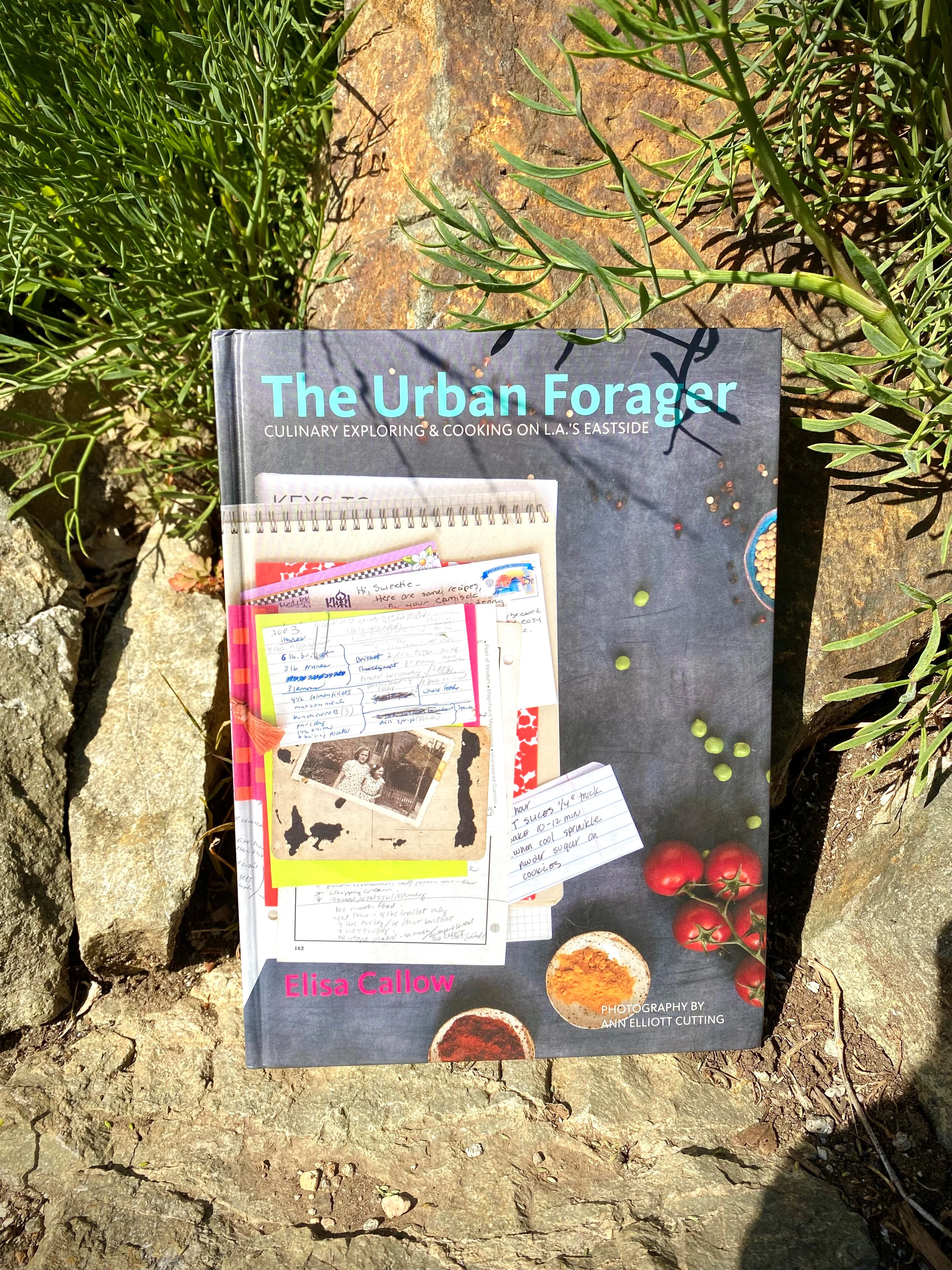 THE URBAN FORAGER: CULINARY EXPLORING & COOKING ON L.A'S EASTSIDE - Image 2
