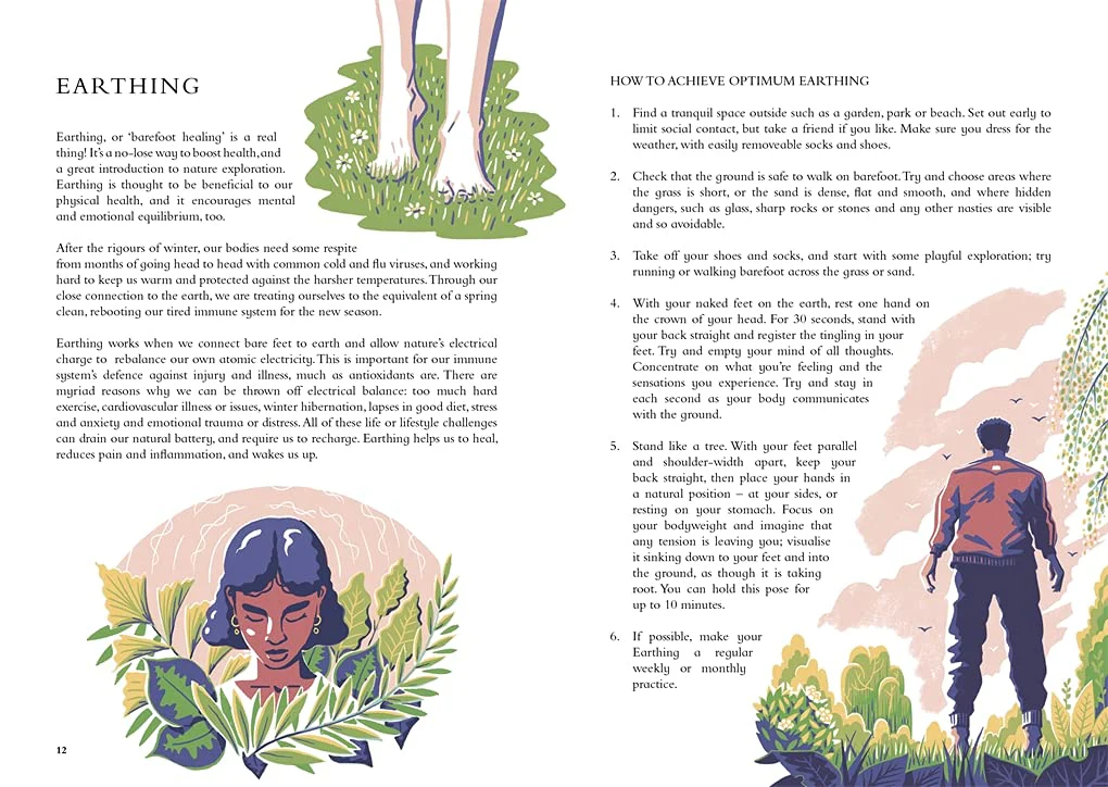 THE WILD HANDBOOK - Image 2