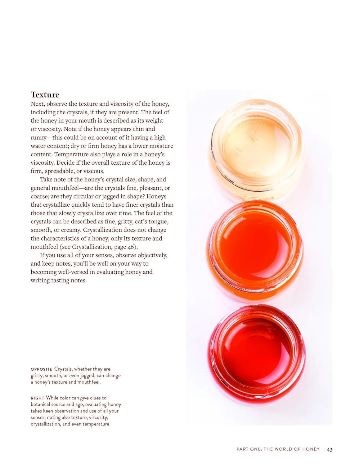 THE WORLD ATLAS OF HONEY - Image 4