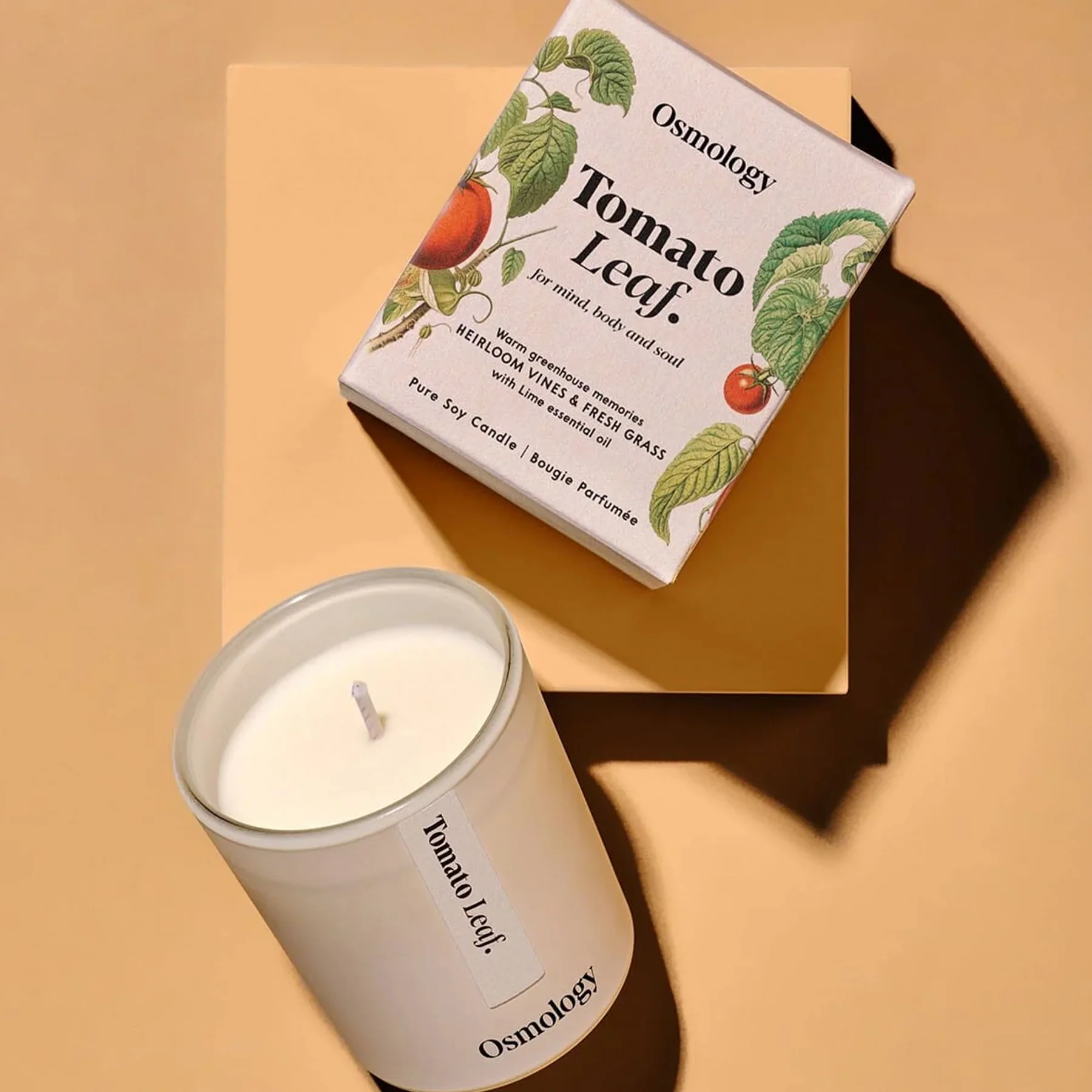 TOMATO LEAF CANDLE - Image 2