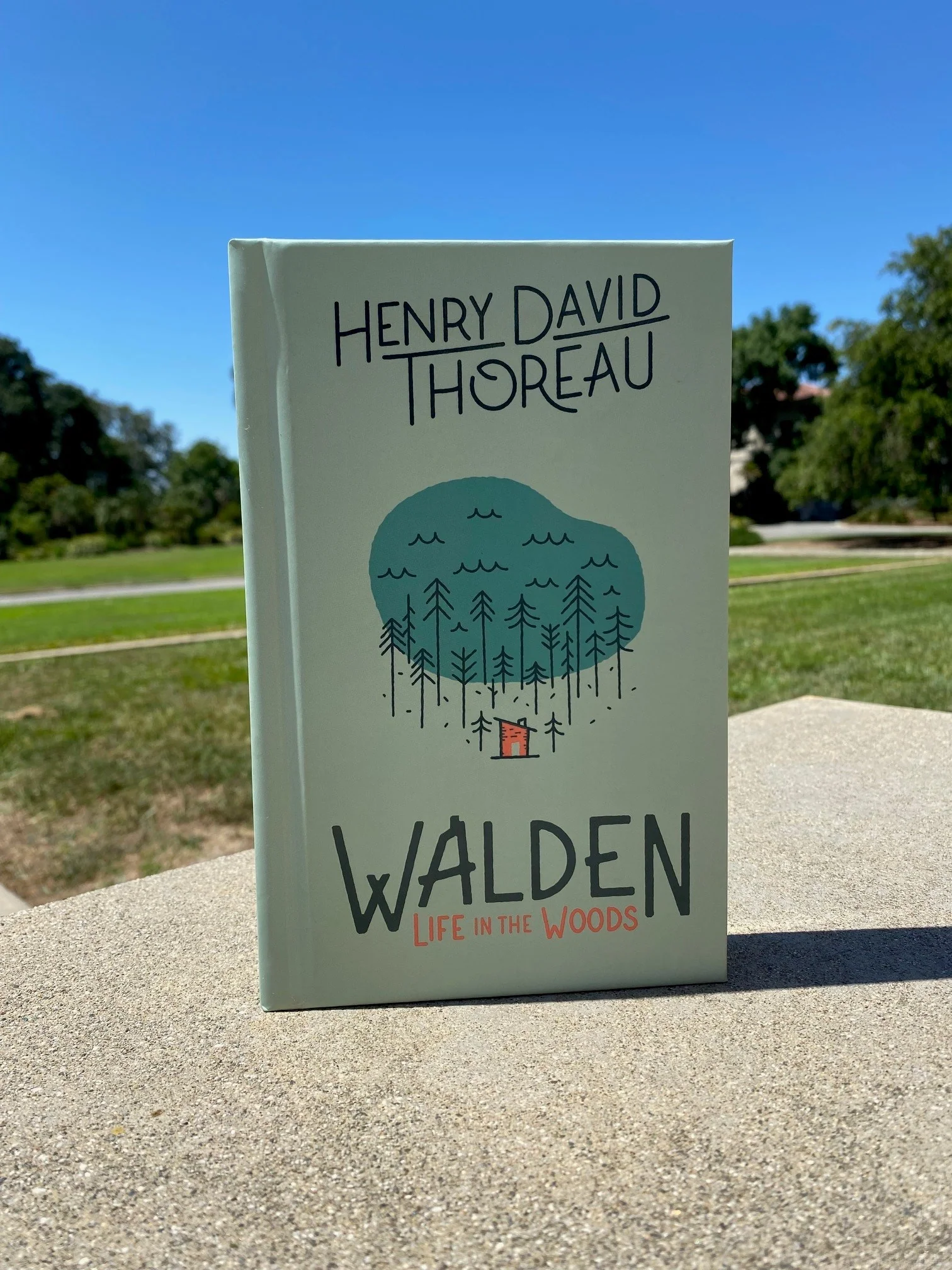 WALDEN: LIFE IN THE WOODS - Image 3