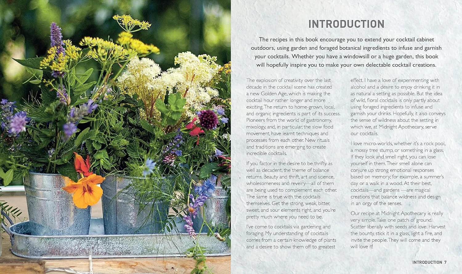 WILD COCKTAILS DECK: 50 RECIPE CARDS FOR DRINKS - Image 2