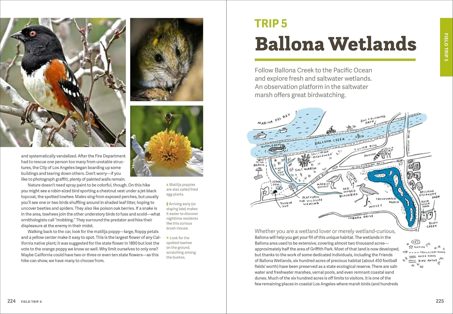 WILD LA - Image 5