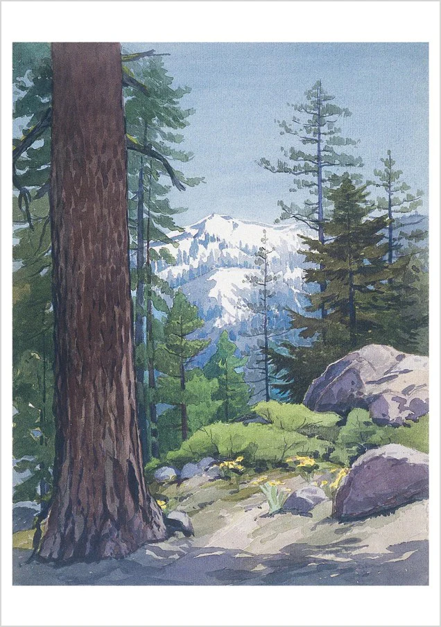 WILLIAM S. RICE WATERCOLORS - NOTECARDS - Image 3
