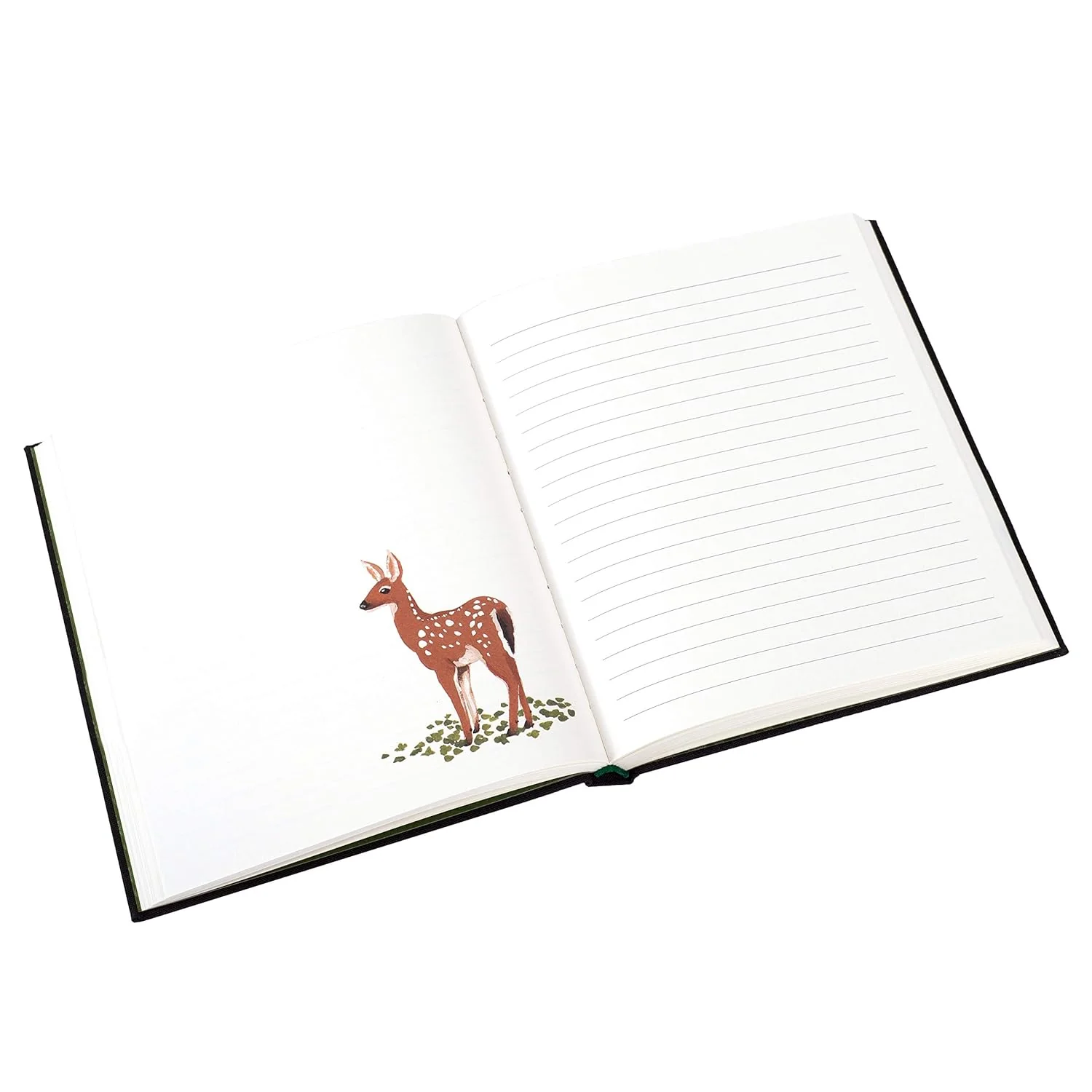WOODLAND JOURNAL - Image 3