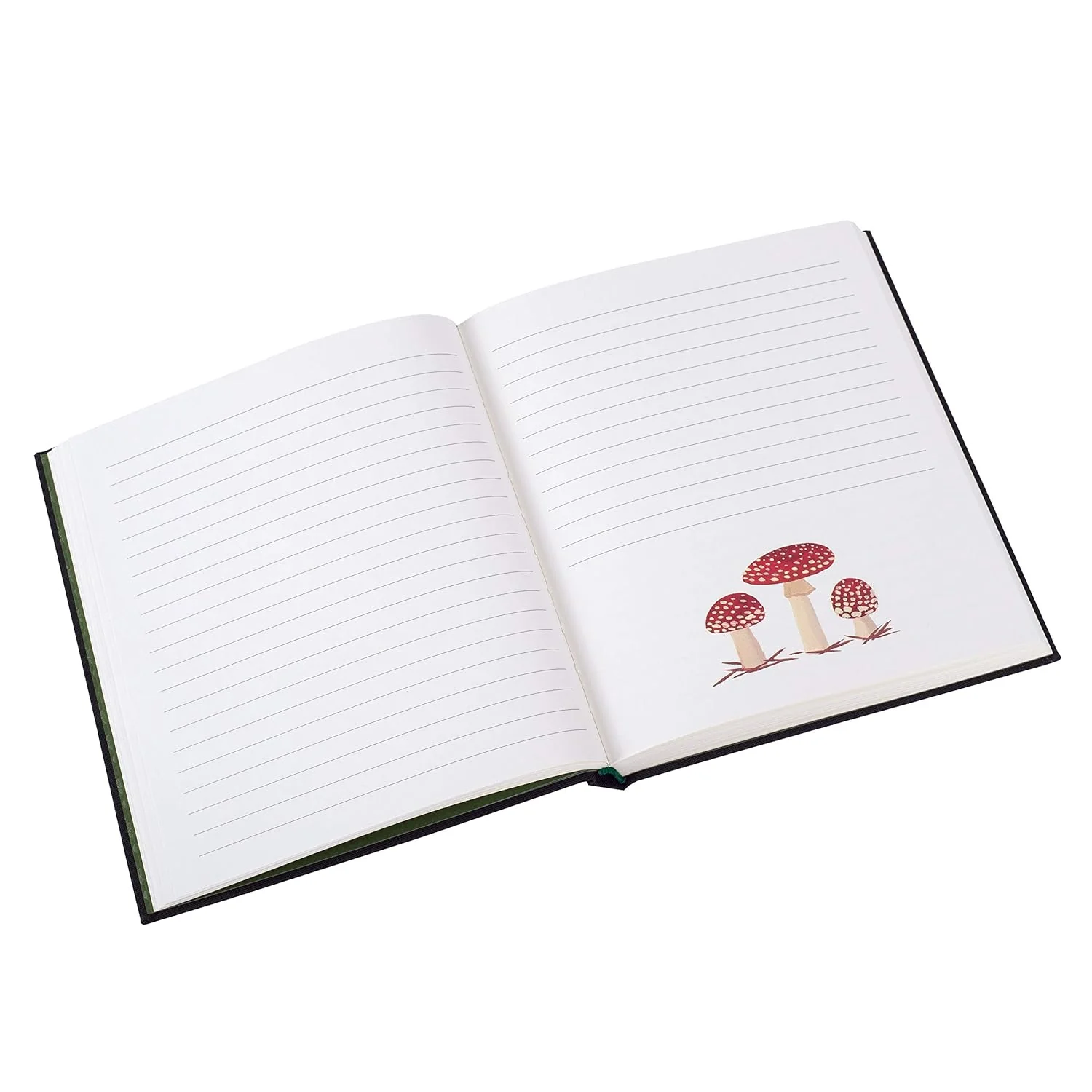 WOODLAND JOURNAL - Image 4