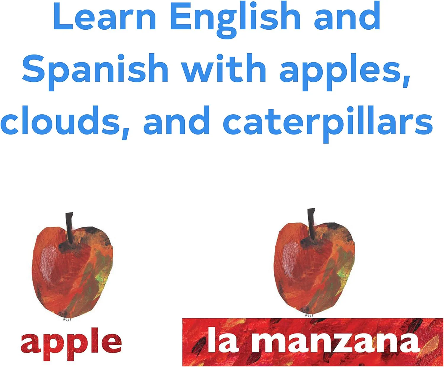 WORLD OF ERIC CARLE SPANISH-ENGLISH FLASH CARDS - Image 2