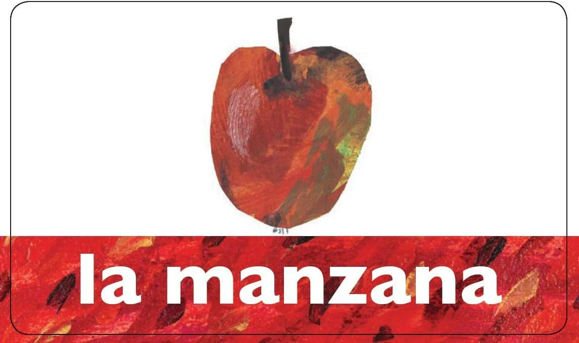 WORLD OF ERIC CARLE SPANISH-ENGLISH FLASH CARDS - Image 4